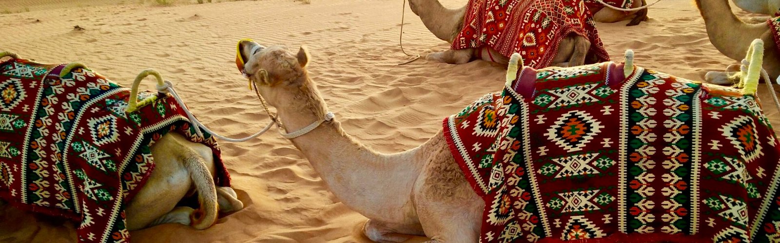 Experience the magic of Desert Safari Dubai with stunning golden dunes, thrilling rides, and cultural performances. Discover the top Dubai desert trip spots and the best desert safari Dubai location for an unforgettable adventure!