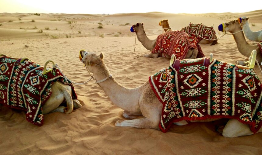 Desert Safari Dubai: Thrilling Adventure in the Dunes!