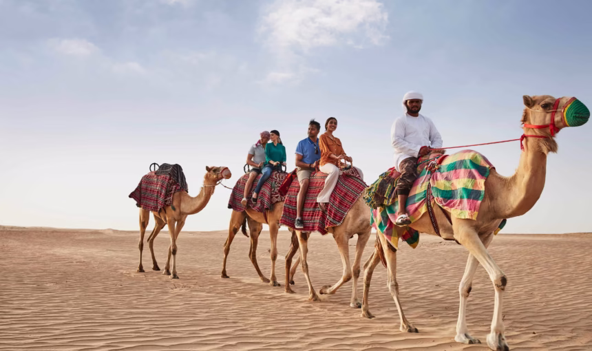 Unmissable Thrilling Activities on a Desert Safari in Dubai! › Forever Tourism LLC