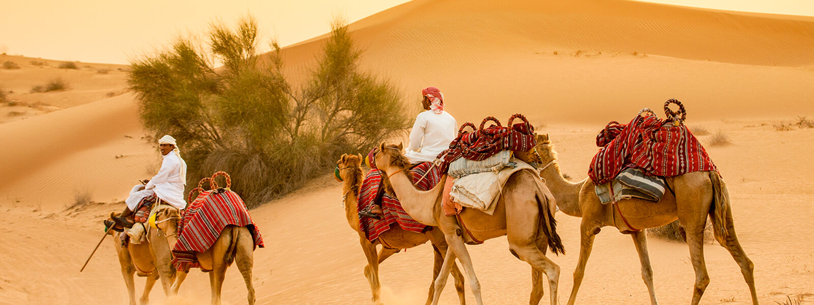 Tourists enjoying thrilling Desert Safari Tours Dubai with top Desert Safari Dubai Deals in the golden Dubai desert.