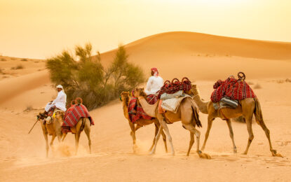 Desert Safari Tours Dubai – Adventure Awaits You!