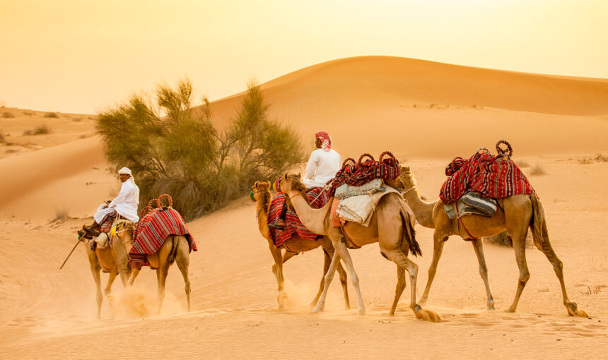 Desert Safari Tours Dubai – Adventure Awaits You!