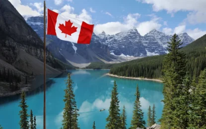 Infographic showing Canada tourist visa requirements, application process, visa status check, and tourist visa fees.