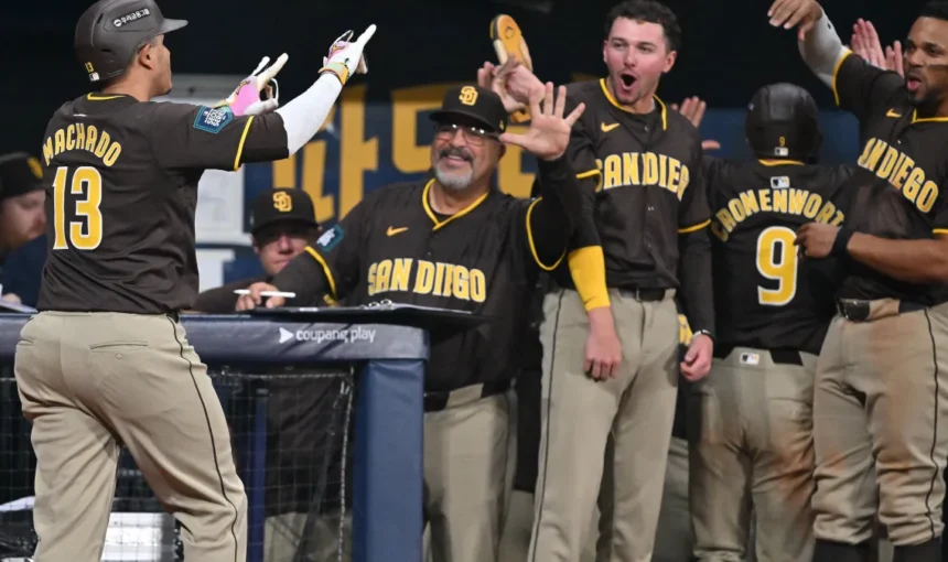 Fans cheering at the Padres vs Tigers game – get your USA visa to witness the next Tigers game live.