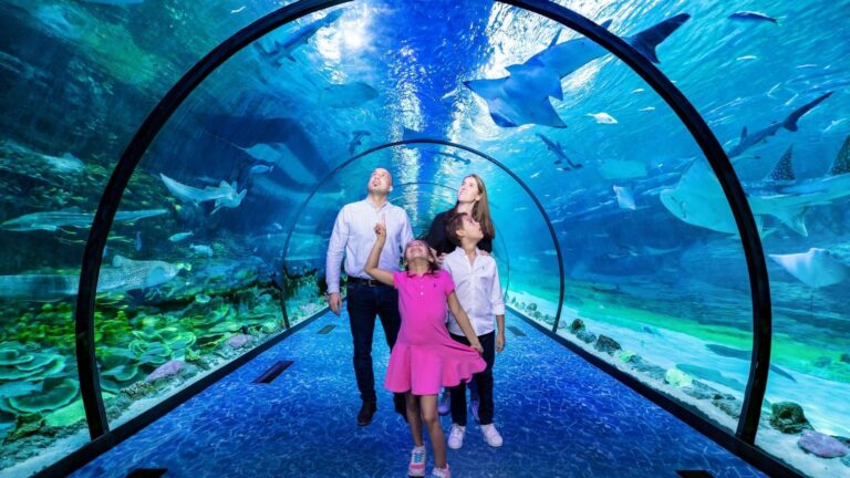 WELCOME TO FOREVER TOURISM LLC One Stop Solution For Dubai Tours, Visas & Holiday Packages