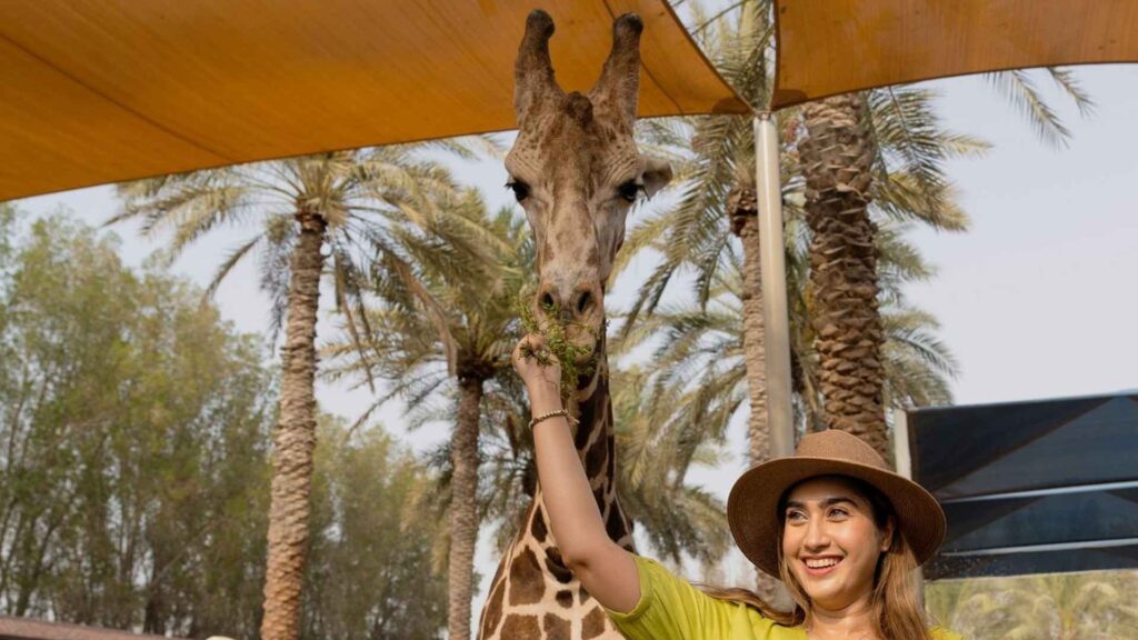 One Stop Solution For Dubai Tours, Visas & Holiday Packages