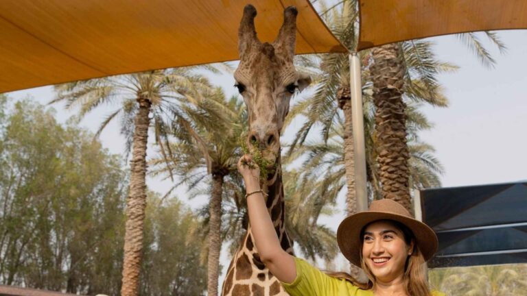 One Stop Solution For Dubai Tours, Visas & Holiday Packages