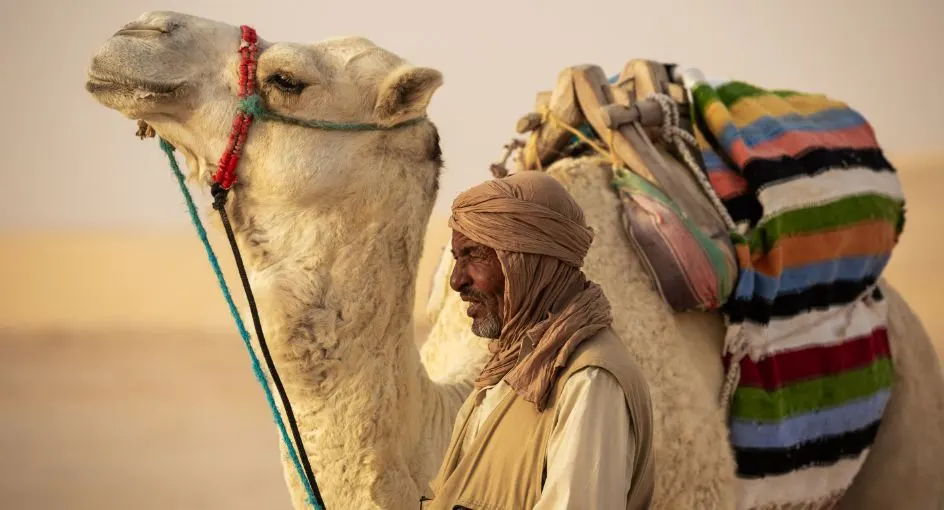Dubai Desert Safari – Epic Thrill, Book Now! › Forever Tourism LLC Travelers enjoying a thrilling Dubai Desert Safari with dune bashing and camel rides in the vast Dubai desert during a desert safari in Dubai.