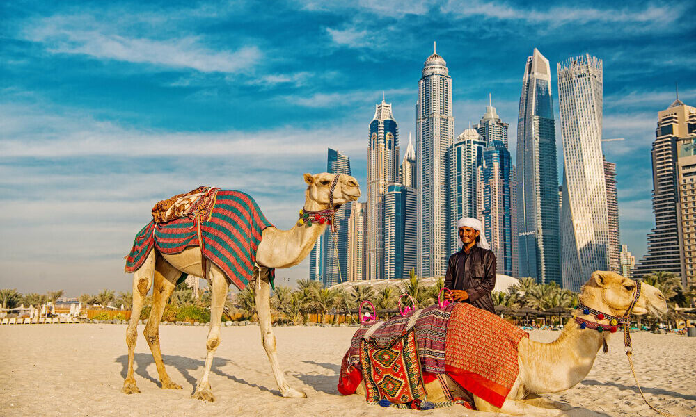 Desert safari package in Dubai with stunning views, offering the best desert safari deals and tips on what to wear for an adventurous journey.