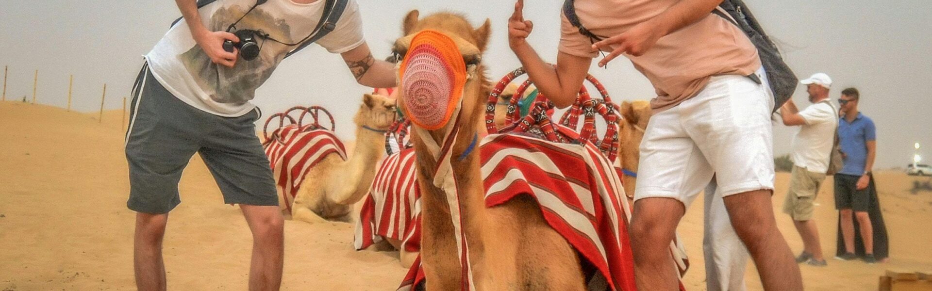 Dubai City Tour – Top 7 Places You Must Visit › Forever Tourism LLC Experience Dubai city tour with Dubai Desert Safari rides, stunning Burj Al Arab views, and top Dubai city tour packages for an unforgettable Dubai tour package.