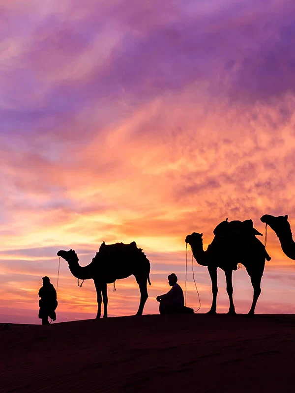 Dubai Holiday Package 2025 | Get Instant Tickets