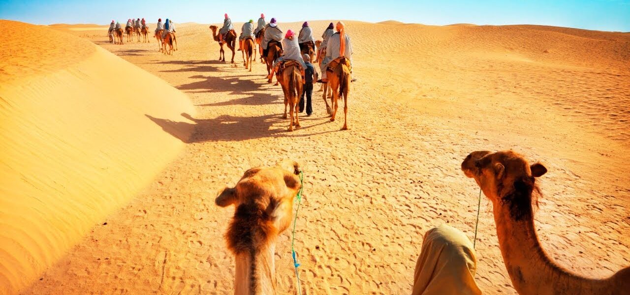 Dubai Desert Safari: Book Now for 2025 Thrills! › Forever Tourism LLC Tourists enjoying a thrilling Dubai Desert Safari with dune bashing and camel rides in the golden sands of the desert safari in Dubai.