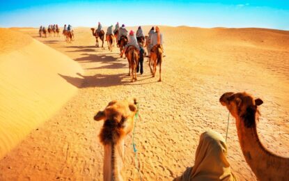 Tourists enjoying a thrilling Dubai Desert Safari with dune bashing and camel rides in the golden sands of the desert safari in Dubai.