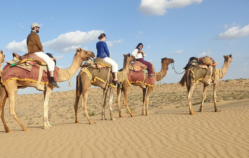 Desert Safari: Dubai Adventure You Must Try in 2025!
