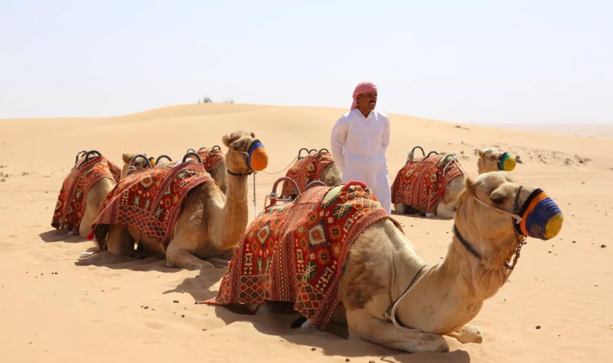 Tourists enjoying dune bashing during a Morning Desert Safari in Dubai desert landscape.