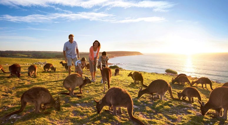 Top Hacks for Australia Tourist Visa 2025! #TravelNow › Forever Tourism LLC