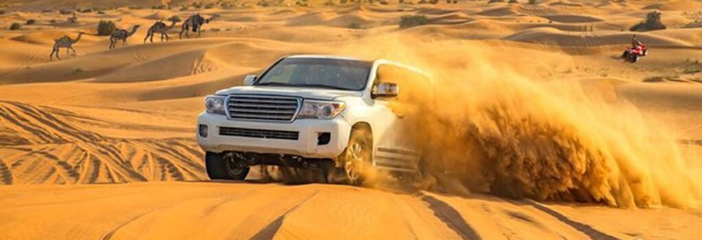Morning Desert Safari Dubai – Must-do! Top thrill ride of 2025 › Forever Tourism LLC Tourists enjoying a morning desert safari Dubai adventure with dune bashing and camel rides, showcasing the best desert safari in Dubai deals.