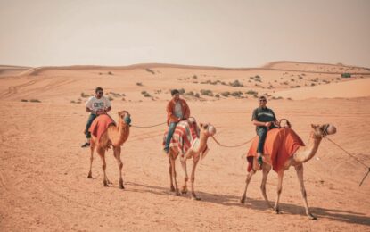 Morning Desert Safari: Why 2025 Is Best Year Yet!