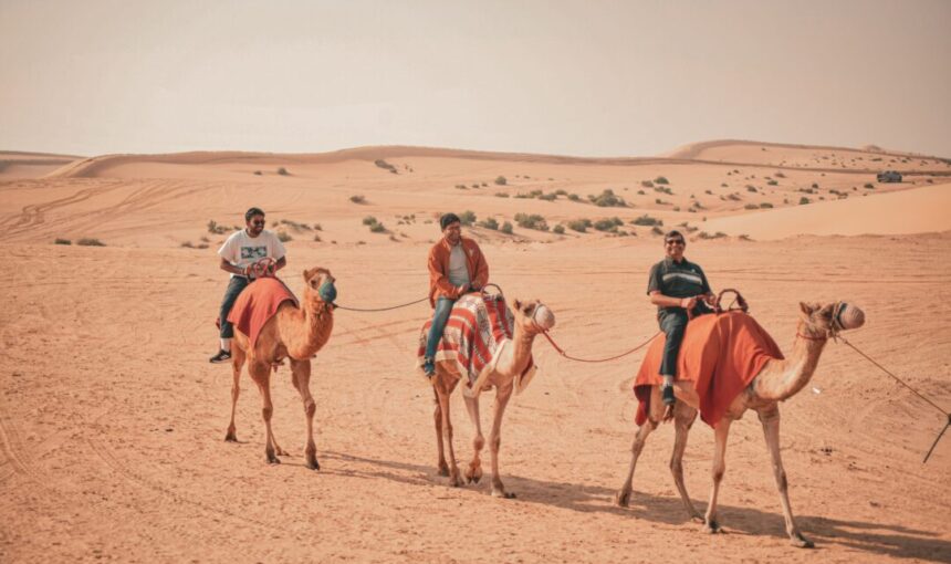 Morning Desert Safari: Why 2025 Is Best Year Yet!