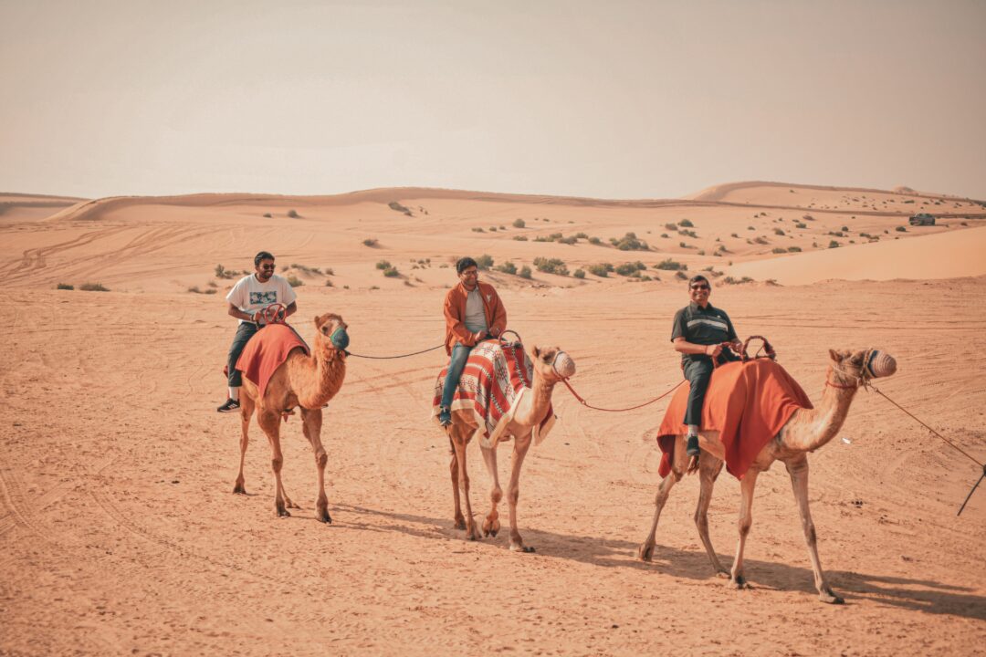 Tourists enjoying a thrilling morning desert safari in Dubai with dune bashing and camel rides in the vast Dubai desert. Dubai Tours & UAE Travel Packages