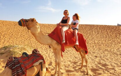 Evening Desert Safari: Top 5 Thrills Await! #AdventureTime
