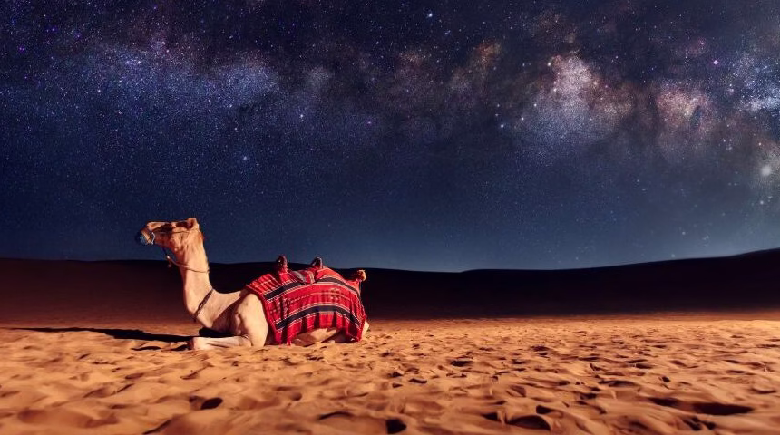 Overnight Desert Safari | Clean Camps | #TrueDesertVibe › Forever Tourism LLC Tourists enjoying an overnight desert safari in Dubai with camel rides, sand dunes, and a traditional camp setting.