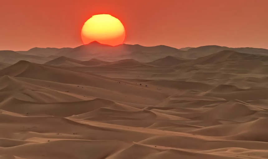 Dubai Desert Safari Packages | 3 Options | #BestRated