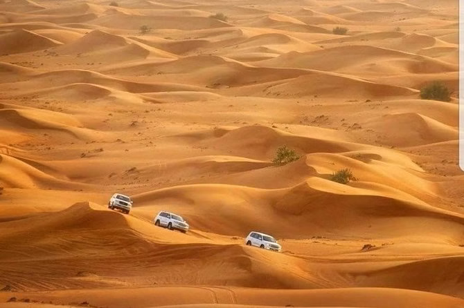 Tourists riding camels at sunset, capturing memorable Dubai desert safari photos during a scenic Desert Safari Dubai experience.