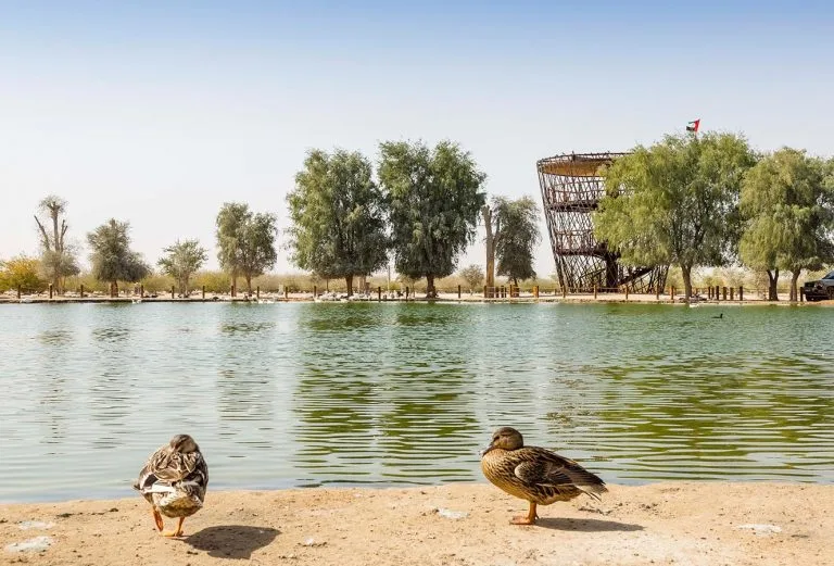 › Forever Tourism LLC Traditional Emirati architecture featured in Dubai’s Cultural Attractions