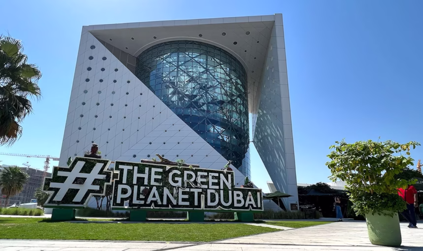 Green Planet Dubai | 3 Floors | #UrbanRainforest › Forever Tourism LLC Interior view of Green Planet Dubai showcasing lush tropical plants and vibrant wildlife inside The Green Planet rainforest dome.