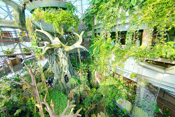 activities in Dubai showcasing alcohol-free experiences