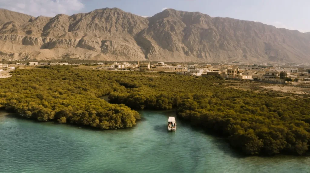 The Top 10 Tours and Day Trips Throughout Abu Dhabi › Forever Tourism LLC Tourists enjoying tours and day trips throughout Abu Dhabi on a desert safari with Forever Tourism guide.