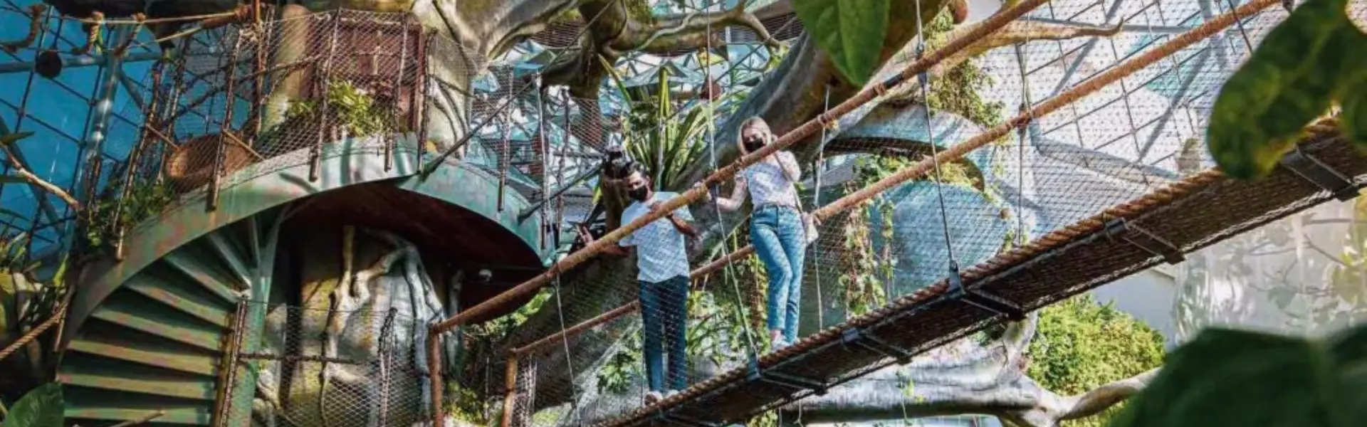 Entrance to Green Planet Dubai showcasing lush greenery – check Green Planet Dubai timings and ticket options for your visit.