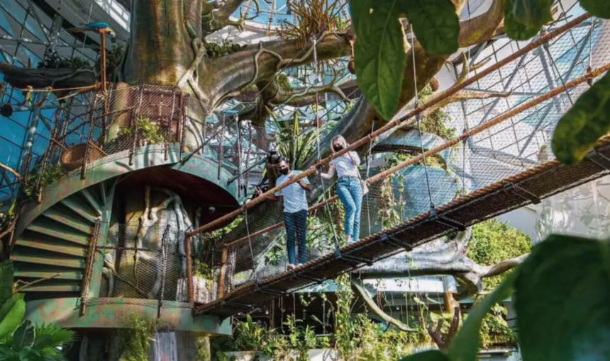 Stuck Indoors? 3 Reasons Green Planet Dubai Feels Wild #NatureBreak