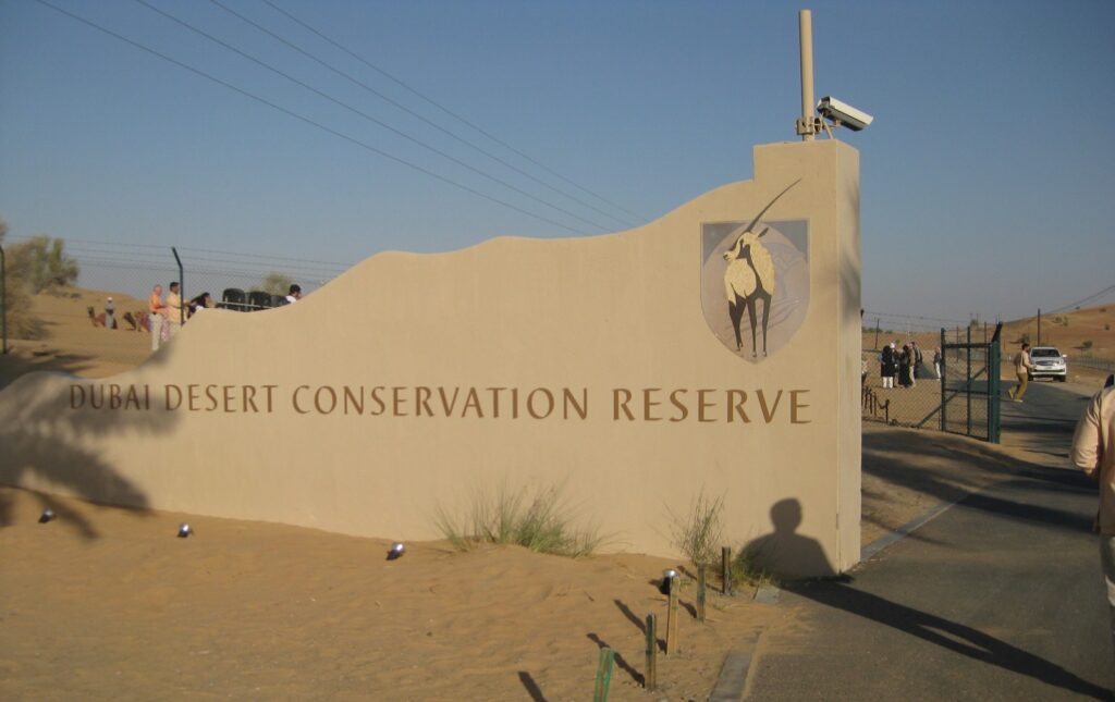 Scenic landscapes and highways showcasing the best road trips from Dubai across deserts, mountains, and coastlines.