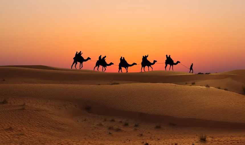 Belly Dance Dubai Desert Safari | Live Fire & Beats | #DesertNights