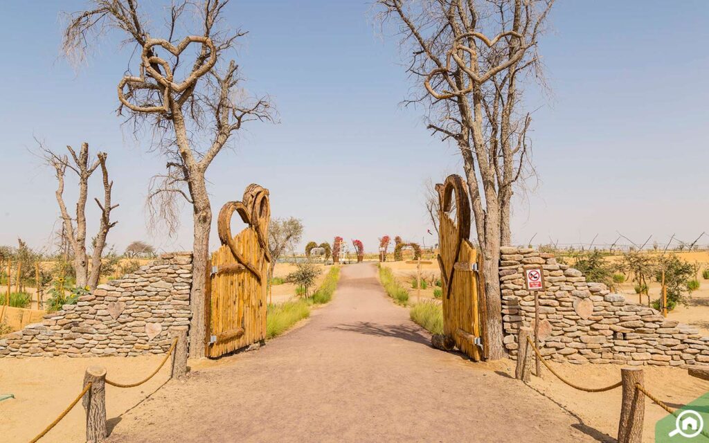 Dubai's private Al Qudra Love Lake Desert Tour in 2025 › Forever Tourism LLC