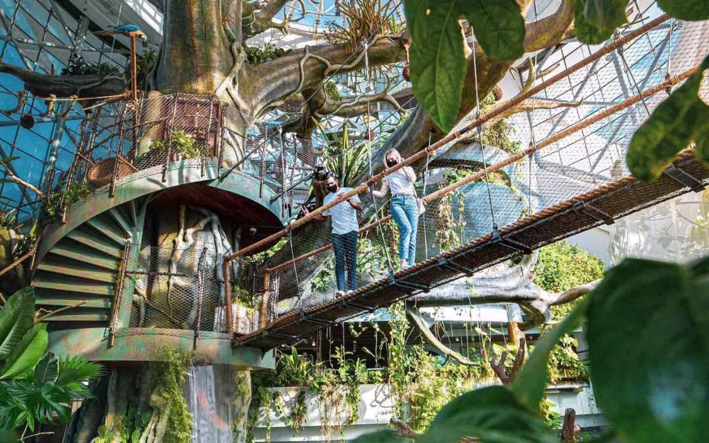 Interior view of Green Planet Dubai showcasing lush tropical plants and vibrant wildlife inside The Green Planet rainforest dome.