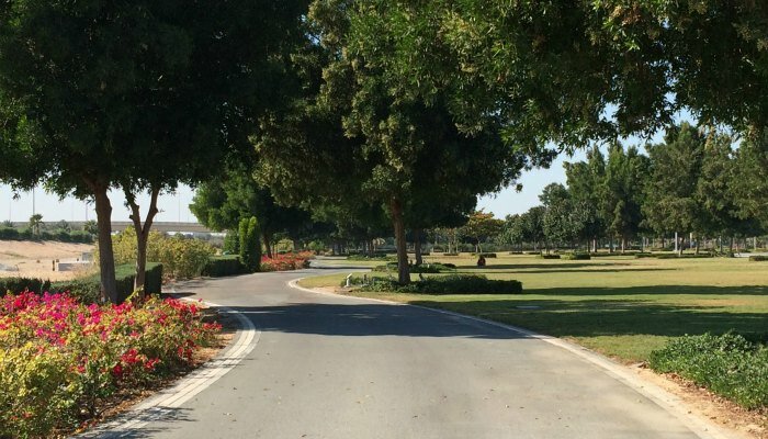 Picnic setup by the beach with skyline view at top Picnic Locations in Abu Dhabi