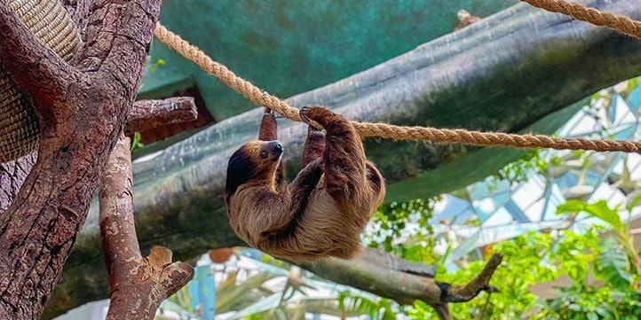 The 7 Best Zoos and Aquariums in Dubai › Forever Tourism LLC Family exploring underwater tunnel at Dubai Aquarium – zoos and aquariums in Dubai