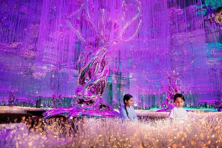 Immersive digital experience at AYA Universe Dubai in Wafi City, showcasing AYA Museum attractions and lighting displays with info on location and timings.