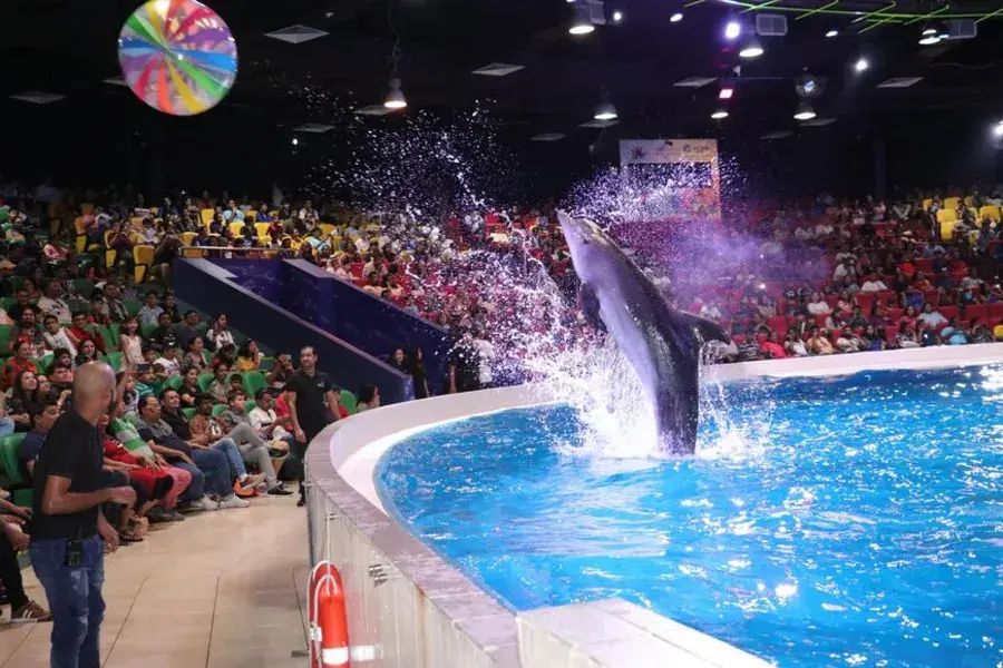 The 7 Best Zoos and Aquariums in Dubai › Forever Tourism LLC Family exploring underwater tunnel at Dubai Aquarium – zoos and aquariums in Dubai