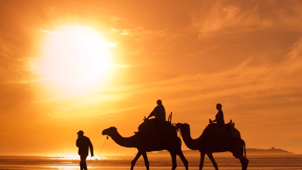 Tourists enjoying a sunset desert safari Dubai with sand dune bashing, camel trip, and evening desert adventure in Dubai.
