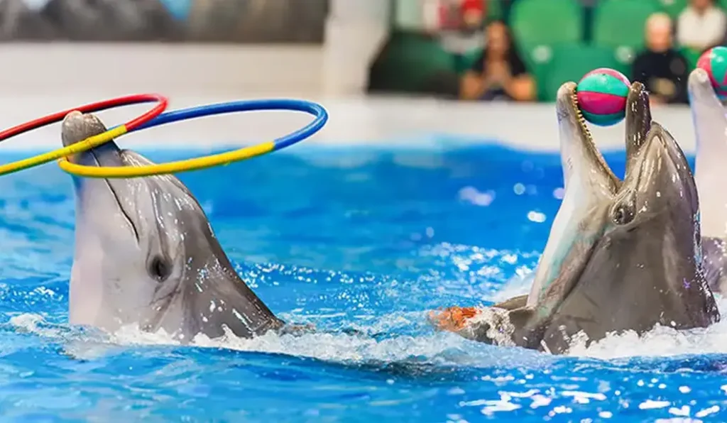› Forever Tourism LLC Children enjoying a fun birthday party at a play zone in Dubai, showcasing some of the exciting birthday party ideas in Dubai available for kids.
