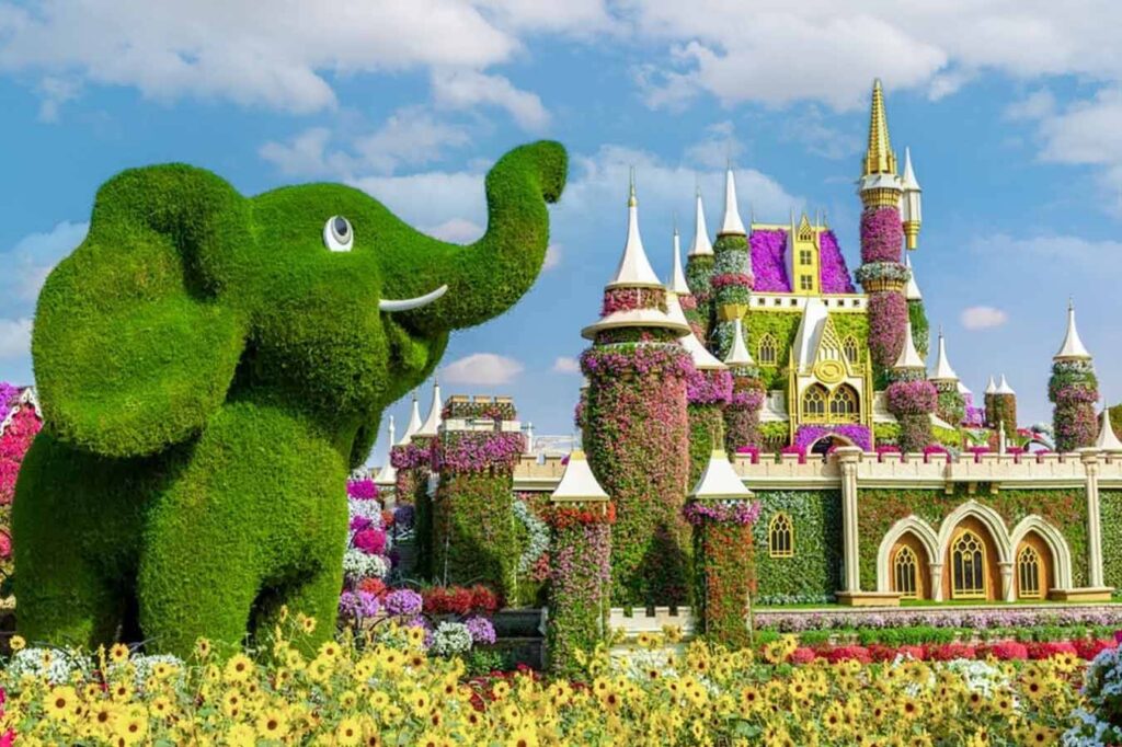 Tourists exploring Gardens and Natural Attractions in Dubai at Dubai Miracle Garden surrounded by colorful flowers.
