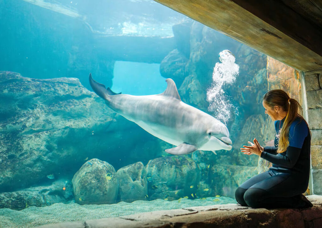 The 7 Best Zoos and Aquariums in Dubai › Forever Tourism LLC Family exploring underwater tunnel at Dubai Aquarium – zoos and aquariums in Dubai