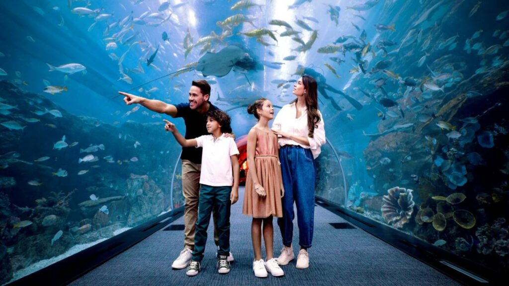activities in Dubai showcasing alcohol-free experiences