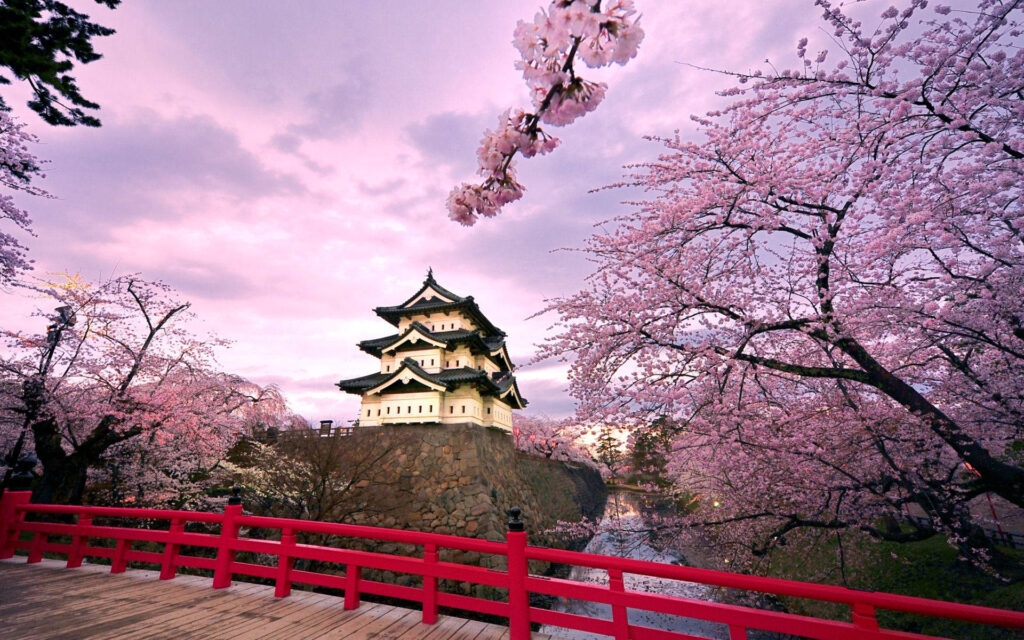 Japan Visa from Dubai: #1 Hack for Docs & Format Stress! › Forever Tourism LLC Japan visa from Dubai – tourist applying for Japan visa in Dubai office with travel documents.