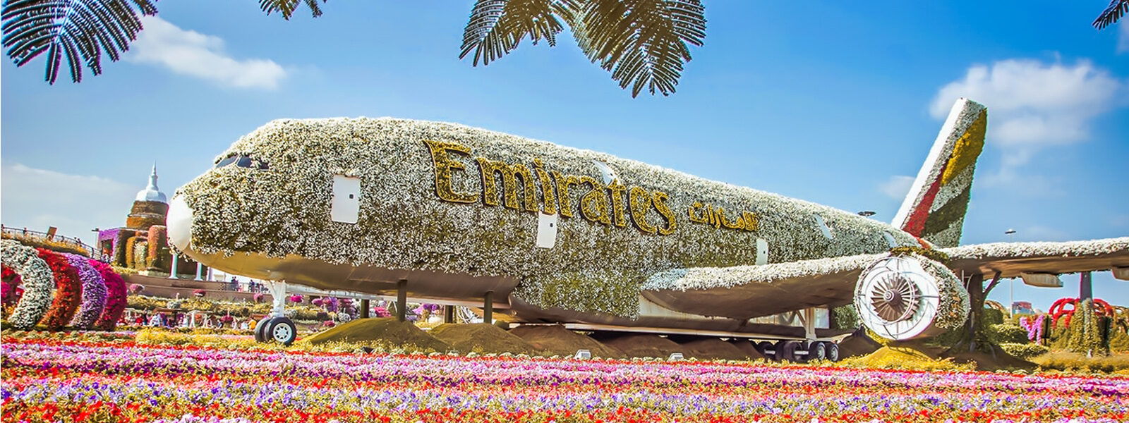 5 Must Visit Green Gardens And Natural Attractions In Dubai › Forever Tourism LLC Tourists exploring Gardens and Natural Attractions in Dubai at Dubai Miracle Garden surrounded by colorful flowers.