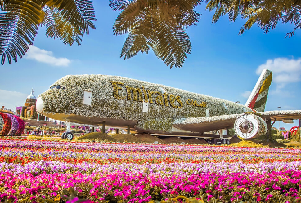 Tourists exploring Gardens and Natural Attractions in Dubai at Dubai Miracle Garden surrounded by colorful flowers.